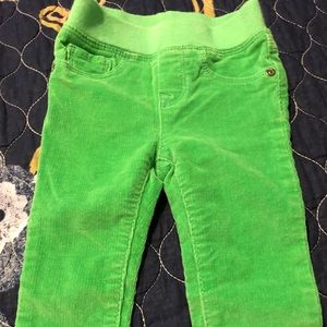 Green corduroy stretch pants
